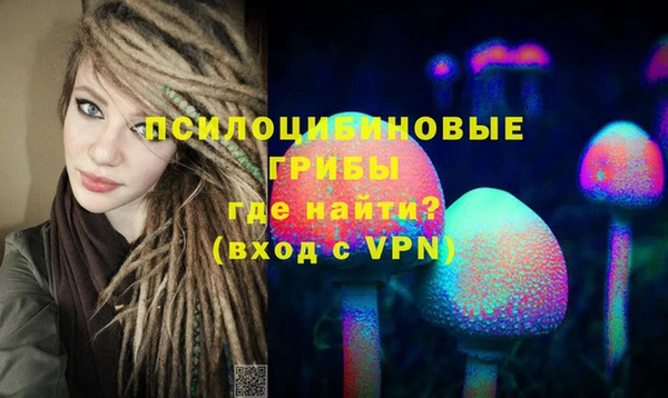 соль ск Корсаков