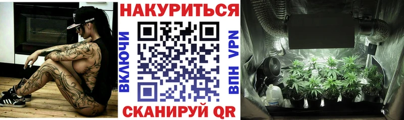 Шишки марихуана Ganja  купить наркотик  Новочеркасск 
